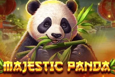 download aplikasi cantik555 apk android ios terbaru resmi kasino online